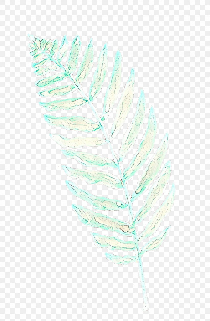 Line Feather, PNG, 1024x1560px, Feather, Quill, Turquoise Download Free