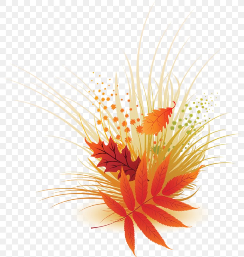 Leaf, PNG, 800x862px, Leaf, Aquarium Decor, Autumn Leaf Color, Cut Flowers, Flower Download Free