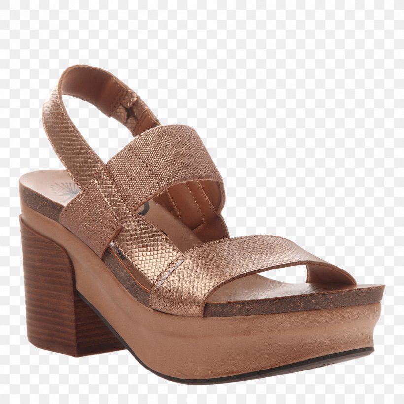 Wedge Sandal Platform Shoe Clothing, PNG, 1782x1782px, Wedge, Ballet Flat, Beige, Bronze, Brown Download Free