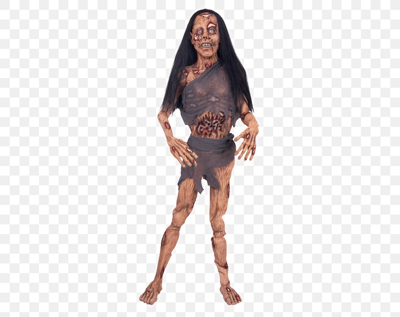 Abdomen Homo Sapiens Costume, PNG, 433x650px, Abdomen, Arm, Costume, Homo Sapiens, Human Download Free