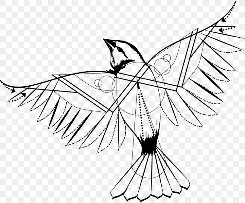 Bird Geometry Drawing Geometric Mean, PNG, 834x692px, Bird, Area, Artwork, Beak, Black And White Download Free