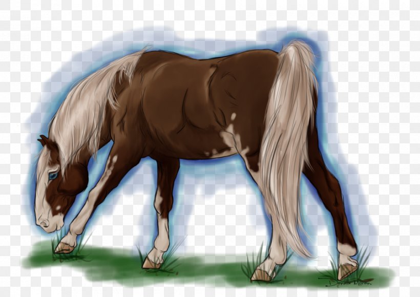 Foal Stallion Mare Mustang Pony, PNG, 900x637px, Foal, Bridle, Colt, Halter, Horse Download Free