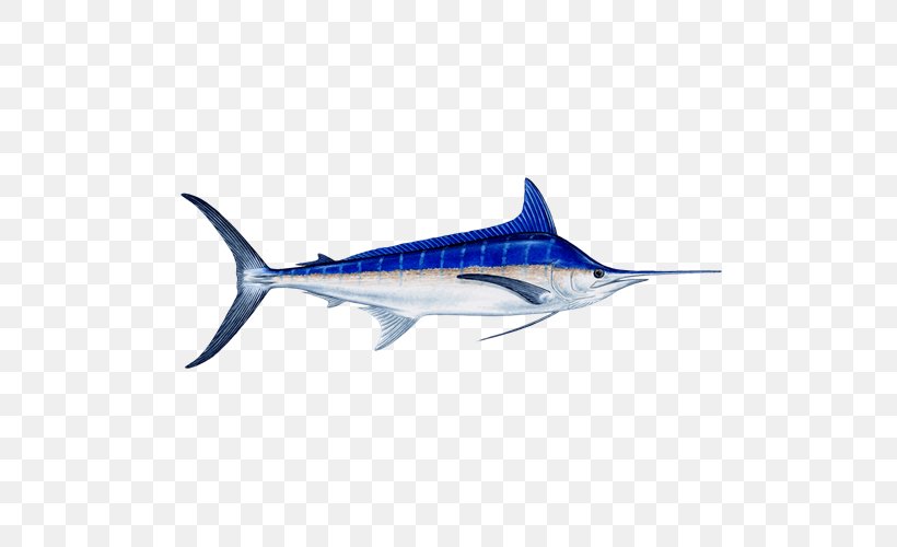 Swordfish Atlantic Blue Marlin Black Marlin Marlin Fishing Recreational Fishing, PNG, 500x500px, Swordfish, Angling, Atlantic Blue Marlin, Billfish, Black Marlin Download Free