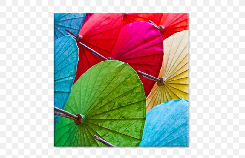 Chiang Mai Flower Festival Umbrella Royalty-free Stock Photography, PNG, 750x530px, Chiang Mai, Bangkok, Green, Leaf, Petal Download Free