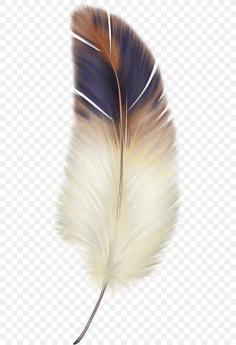 Feather, PNG, 546x1200px, Feather, Beige, Fashion Accessory, Fur, Natural Material Download Free
