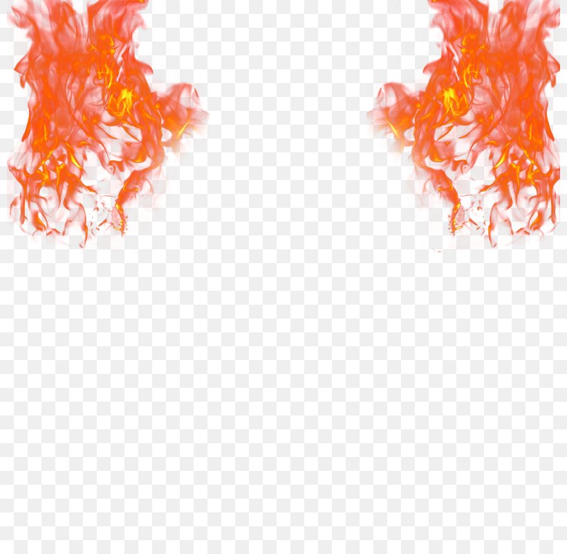 Fire Flame Light, PNG, 800x800px, Fire, Cool Flame, Element, Flame, Light Download Free