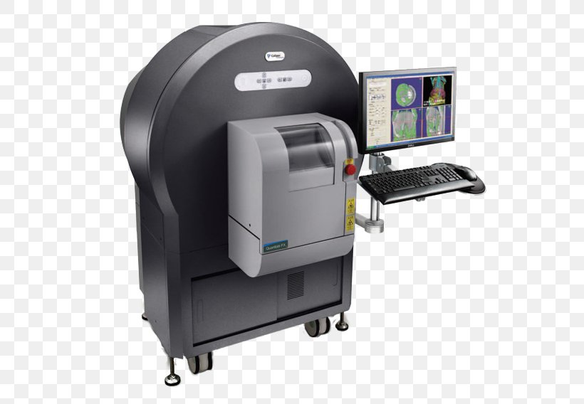 Medical Imaging Bildgebendes Verfahren X-ray Microtomography Rat PerkinElmer, PNG, 559x568px, Medical Imaging, Anatomy, Animal, Bildgebendes Verfahren, Computed Tomography Download Free