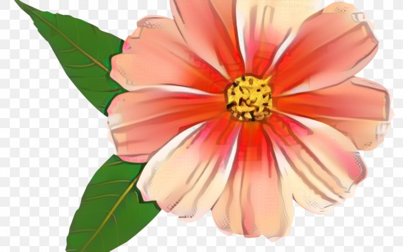 Flowers Background, PNG, 1368x855px, Garden Cosmos, Annual Plant, Cut Flowers, Dahlia, Daisy Family Download Free