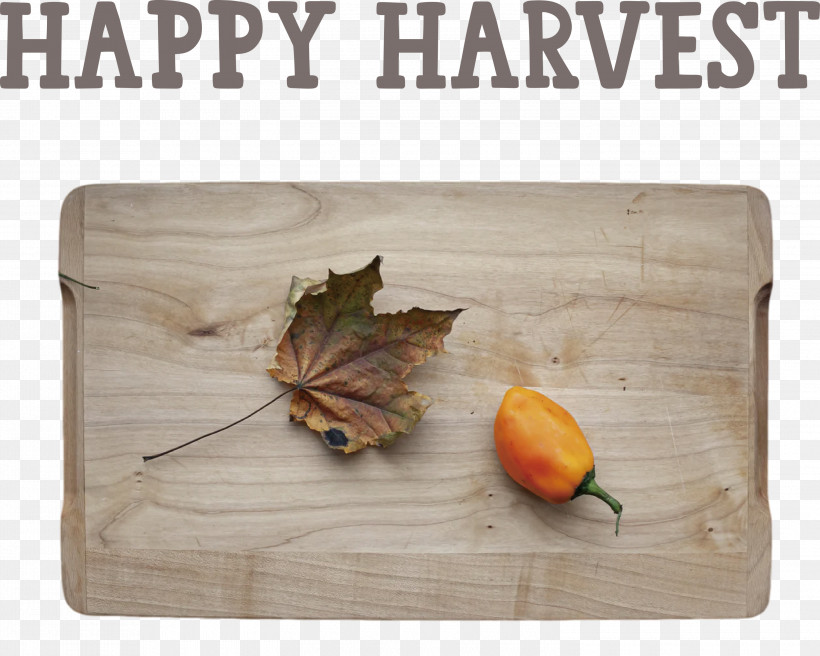 Happy Harvest Harvest Time, PNG, 3000x2402px, Happy Harvest, Biology, Harvest Time, Leaf, M083vt Download Free