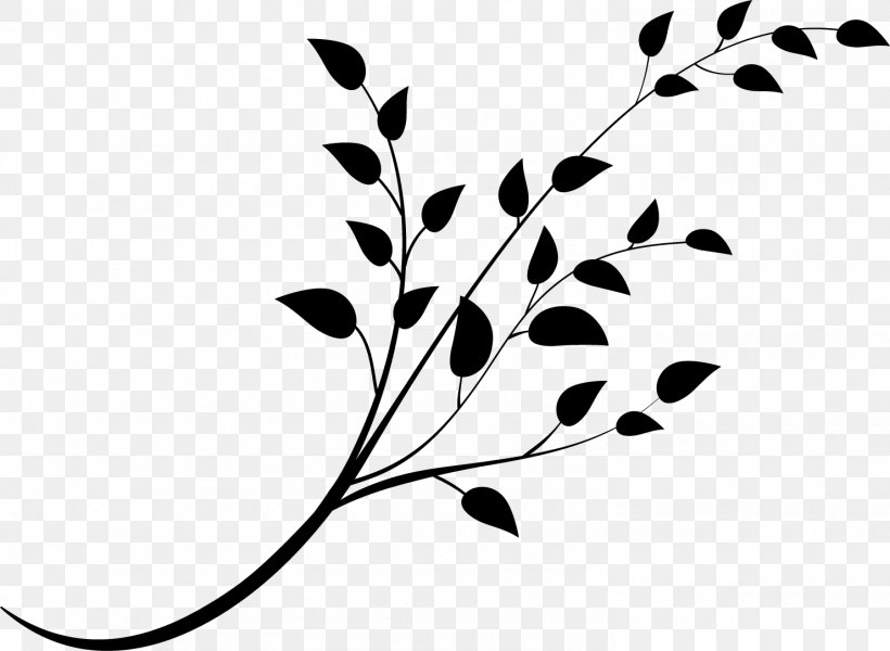 Leaf Pattern Plant Stem Flower Desktop Wallpaper, PNG, 1480x1084px, Leaf, Black, Black M, Blackandwhite, Botany Download Free