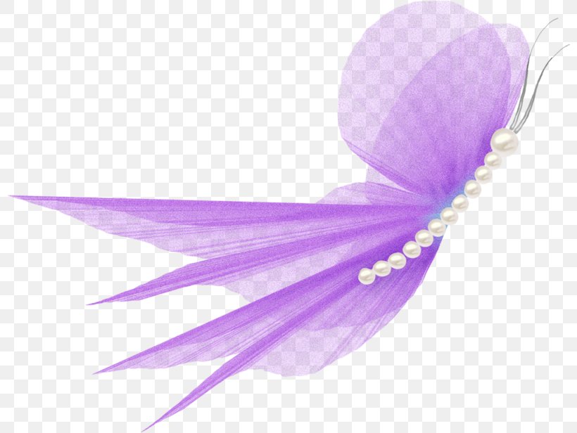 Pink Background, PNG, 800x616px, Purple, Crocus, Feather, Lilac, Petal Download Free