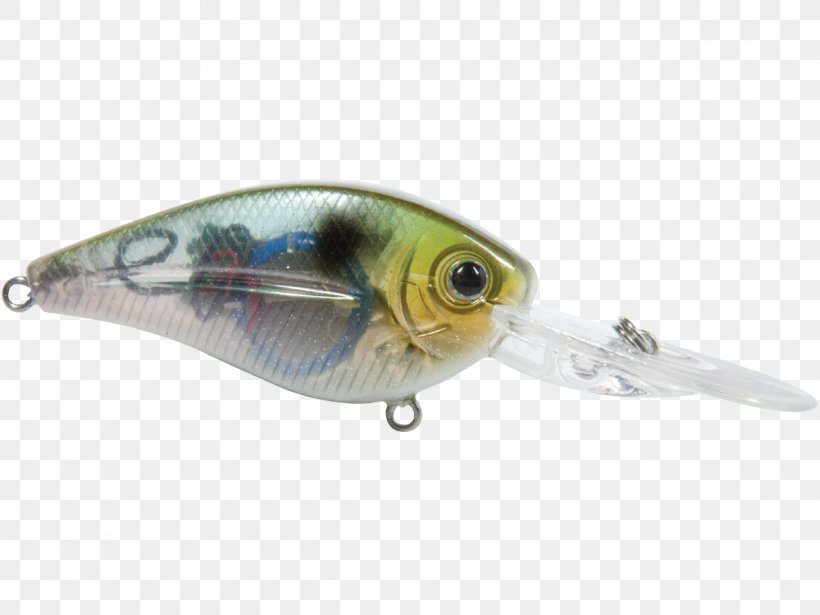 Spoon Lure Perch Oily Fish AC Power Plugs And Sockets, PNG, 1200x900px, Spoon Lure, Ac Power Plugs And Sockets, Bait, Fish, Fishing Bait Download Free