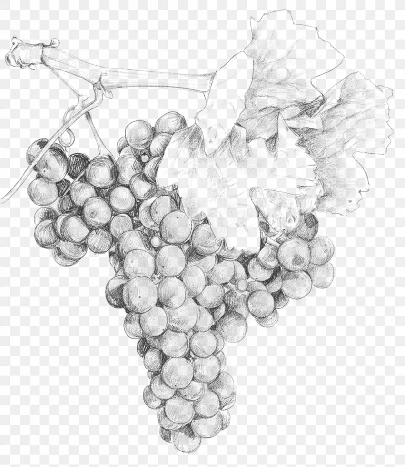 Grape Two Paddocks Pinot Noir Wine /m/02csf, PNG, 1000x1153px, Grape, Actor, Artwork, Black And White, Central Otago Download Free