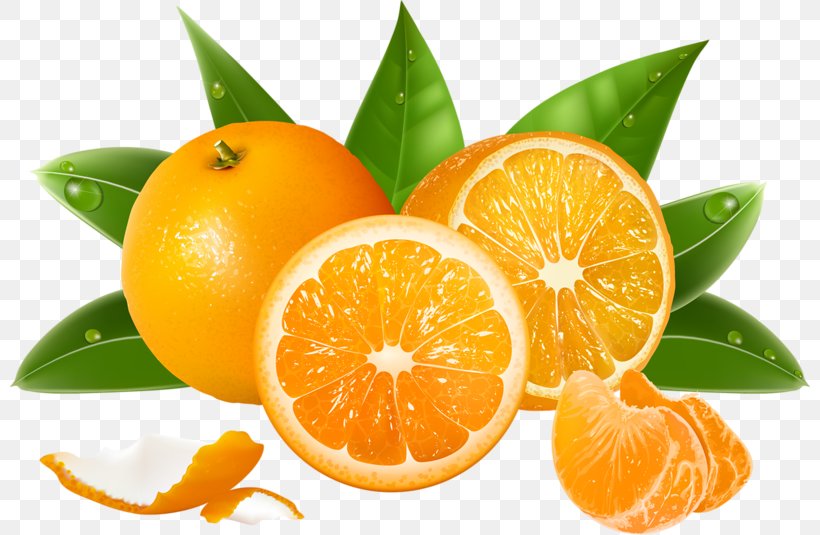 Juice Malta Orange Fruit Hindi, PNG, 800x535px, Juice, Banana, Bitter Orange, Chenpi, Citric Acid Download Free
