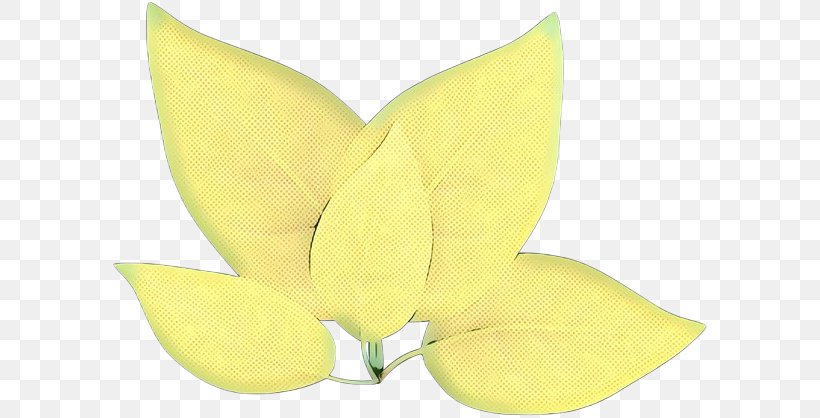 M. Butterfly Fruit, PNG, 600x418px, M Butterfly, Anthurium, Botany, Flower, Fruit Download Free