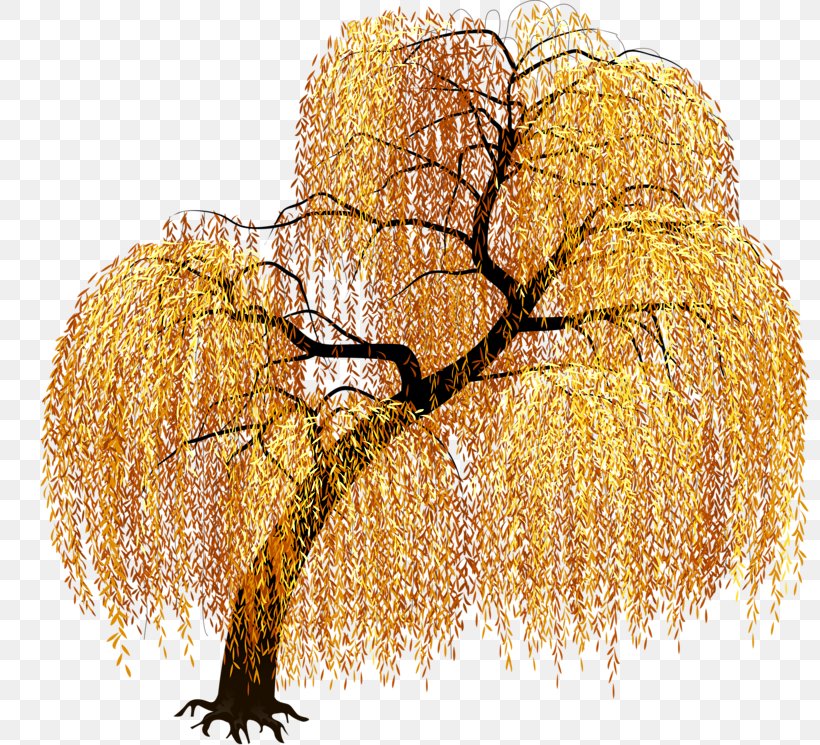 Tree Art, PNG, 800x745px, Tree, Arecaceae, Art, Branch, Commodity Download Free