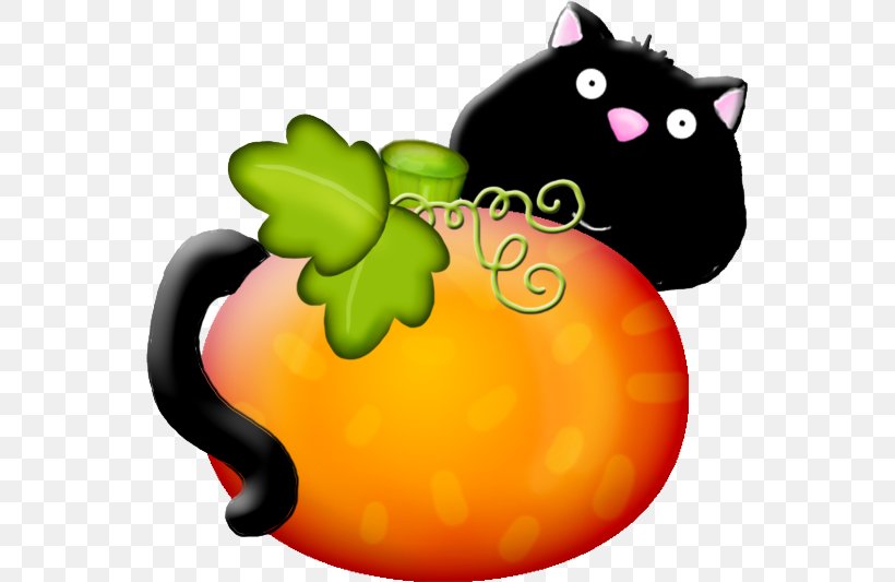 Whiskers Pumpkin Calabaza Cat Snout, PNG, 552x533px, Whiskers, Calabaza, Carnivoran, Cat, Cat Like Mammal Download Free