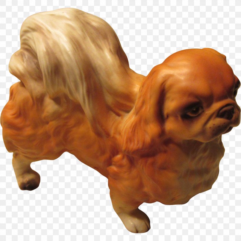 Dog Breed Puppy Toy Dog Spaniel, PNG, 1172x1172px, Dog, Animal, Breed, Canidae, Carnivora Download Free