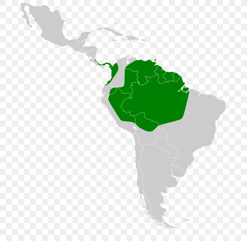 South America Latin America United States Of America Subregion Map, PNG, 740x800px, South America, Americas, Geography, Green, Latin America Download Free