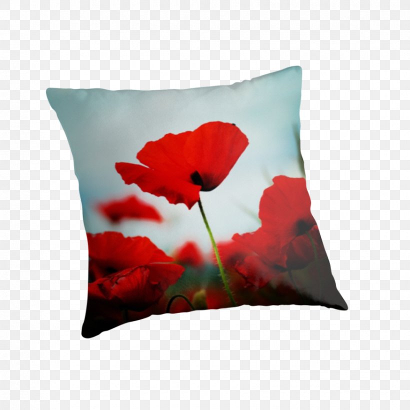 Art Throw Pillows Sacred Geometry Mandala, PNG, 875x875px, Art, Blue Lagoon, Coquelicot, Cushion, Flower Download Free