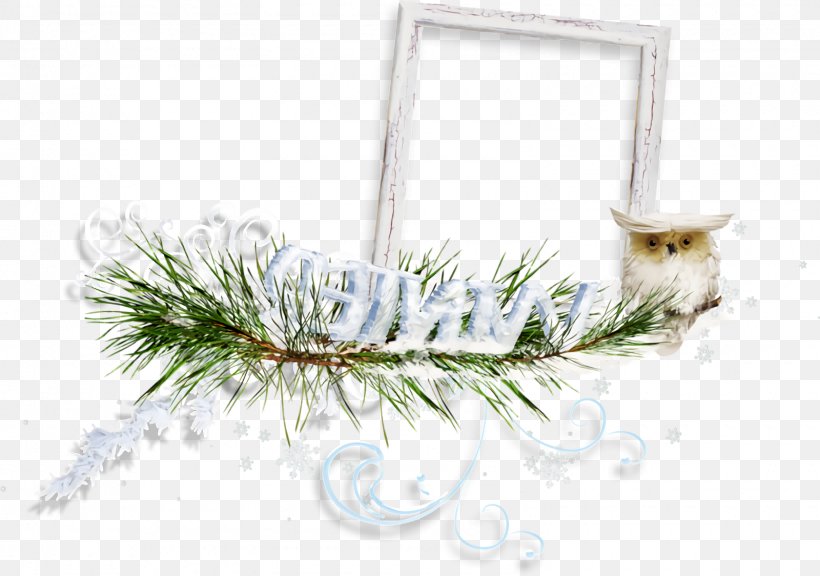 Christmas Frame Christmas Border Christmas Decor, PNG, 1600x1124px, Christmas Frame, Branch, Christmas, Christmas Border, Christmas Decor Download Free