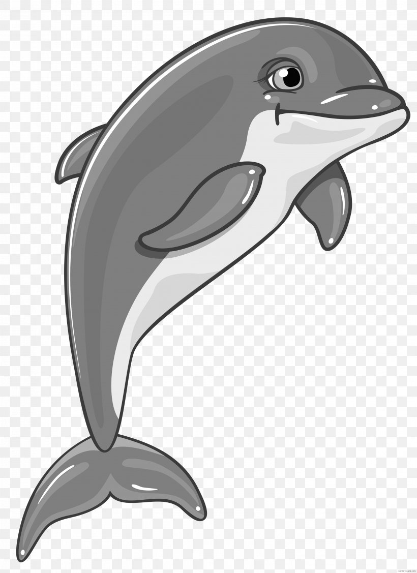 Common Bottlenose Dolphin Spinner Dolphin Clip Art, PNG, 2908x4000px, Dolphin, Automotive Design, Beak, Black And White, Bottlenose Dolphin Download Free