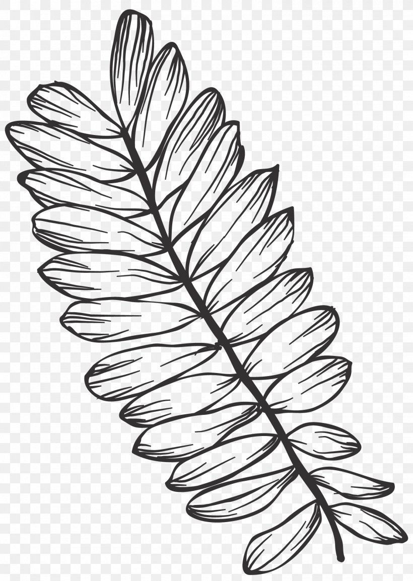 Line Art Drawing Leaf Graphics Clip Art, PNG, 1520x2140px, Line Art, Black And White, Branch, Drawing, Feather Download Free