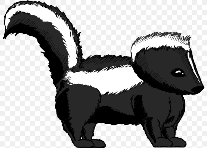 Striped Skunk Whiskers Badger, PNG, 800x586px, Skunk, Animal Figure, Badger, Bear, Black And White Download Free