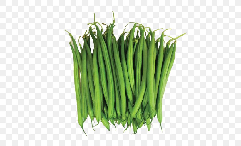 Green Bean Clip Art Common Bean, PNG, 500x500px, Green Bean, Bean, Chives, Common Bean, Copyright Download Free