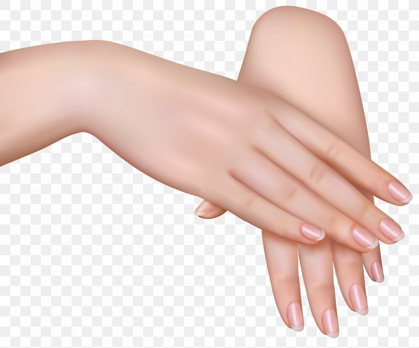 Hand Clip Art, PNG, 5997x4993px, Hand, Arm, Female, Finger, Hand Model Download Free