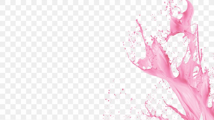 South Africa Disc Jockey Lip Alcoholic Drink Magenta, PNG, 1920x1080px, South Africa, Alcoholic Drink, Country, Disc Jockey, Flower Download Free