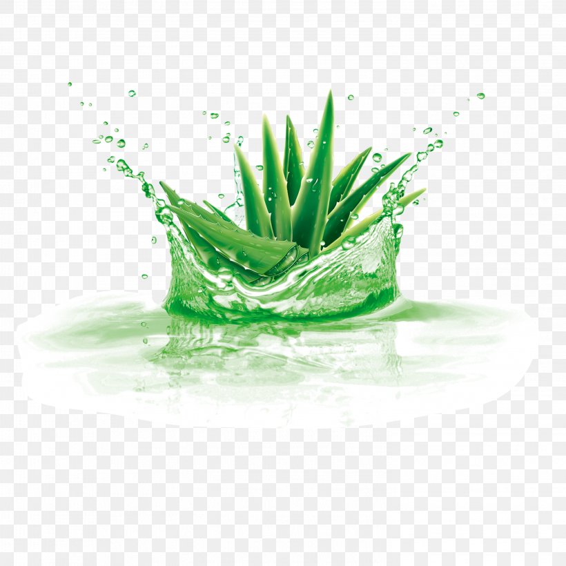 Aloe Vera Plant Gel, PNG, 2953x2953px, Aloe Vera, Aloe, Coreldraw, Flowerpot, Gel Download Free