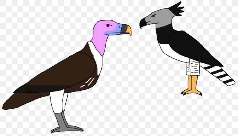Beak Cygnini Goose Bird Duck, PNG, 1024x585px, Beak, Anatidae, Bird, Bird Of Prey, Cygnini Download Free