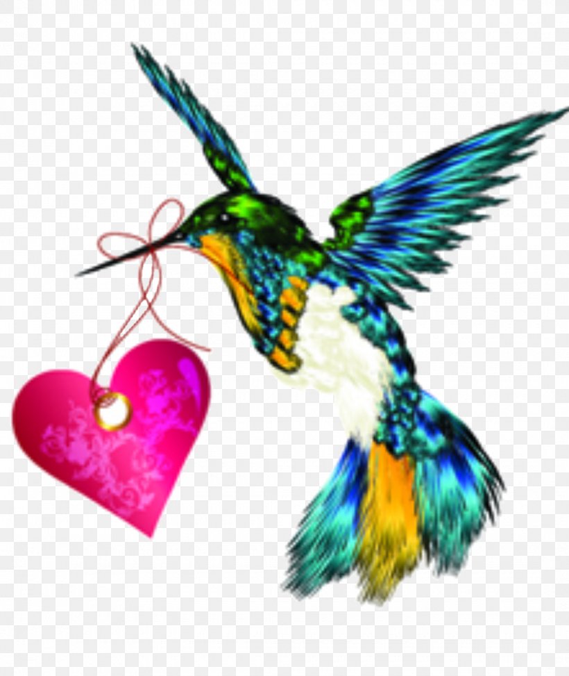 Beautiful Heart, PNG, 1080x1282px, Drawing, Beak, Beautiful Sheartail, Bird, Feather Download Free