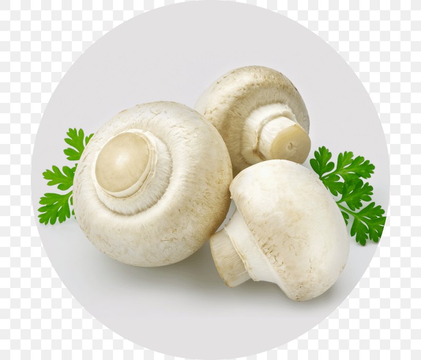 Common Mushroom Edible Mushroom Nagpur Casserole, PNG, 700x700px, Common Mushroom, Agaricaceae, Agaricomycetes, Agaricus, Blanching Download Free