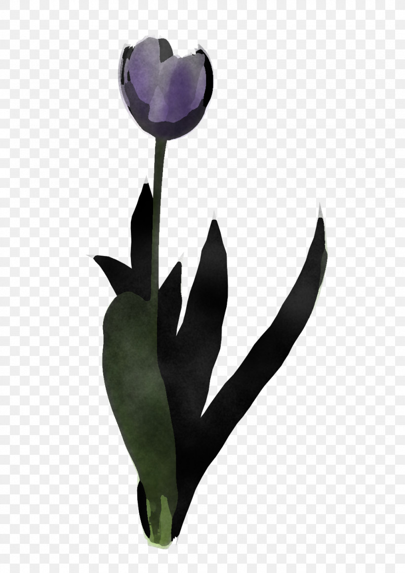 Flower Tulip Purple Violet Plant, PNG, 1024x1448px, Flower, Bud, Cut Flowers, Iris, Lily Family Download Free