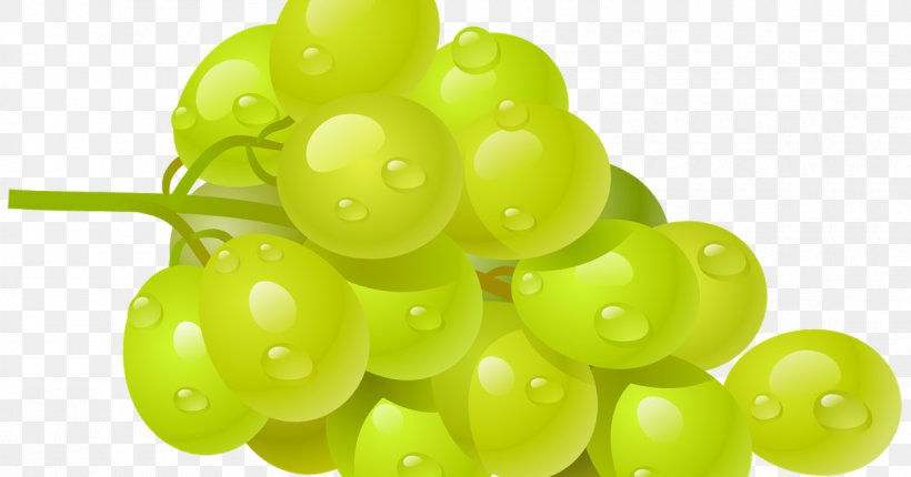 Grape Seed Oil Carrier Oil Cabernet Sauvignon, PNG, 1200x630px, Grape, Cabernet Sauvignon, Carrier Oil, Common Grape Vine, Extract Download Free