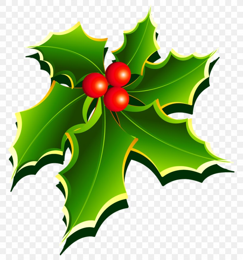 Mistletoe Christmas Holly Clip Art, PNG, 935x1004px, Mistletoe, Aquifoliaceae, Aquifoliales, Christmas, Color Download Free