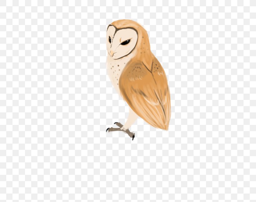 Owl Bird, PNG, 500x647px, Owl, Barn Owl, Beak, Bird, Bird Of Prey Download Free