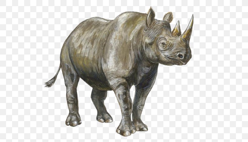 Rhinoceros Mammal Les Rhinocéros, PNG, 659x469px, Rhinoceros, Animal, Cattle Like Mammal, Data, Data Compression Download Free