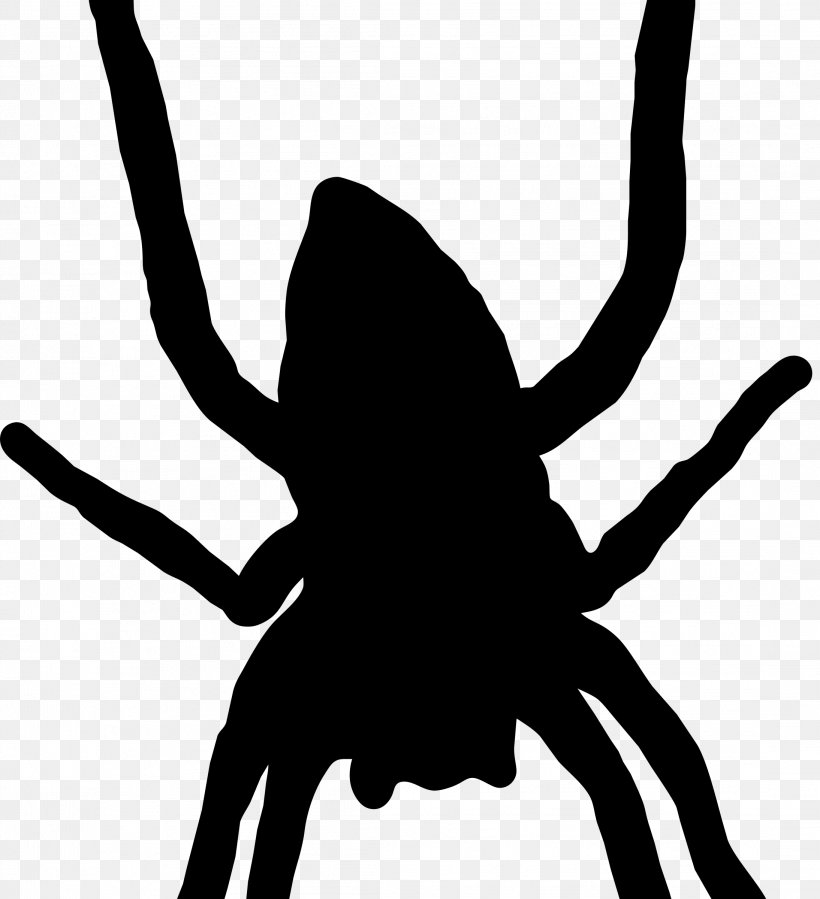 Spider Web Silhouette Arthropod Clip Art, PNG, 2188x2400px, Spider, Animal, Arachnid, Arthropod, Artwork Download Free