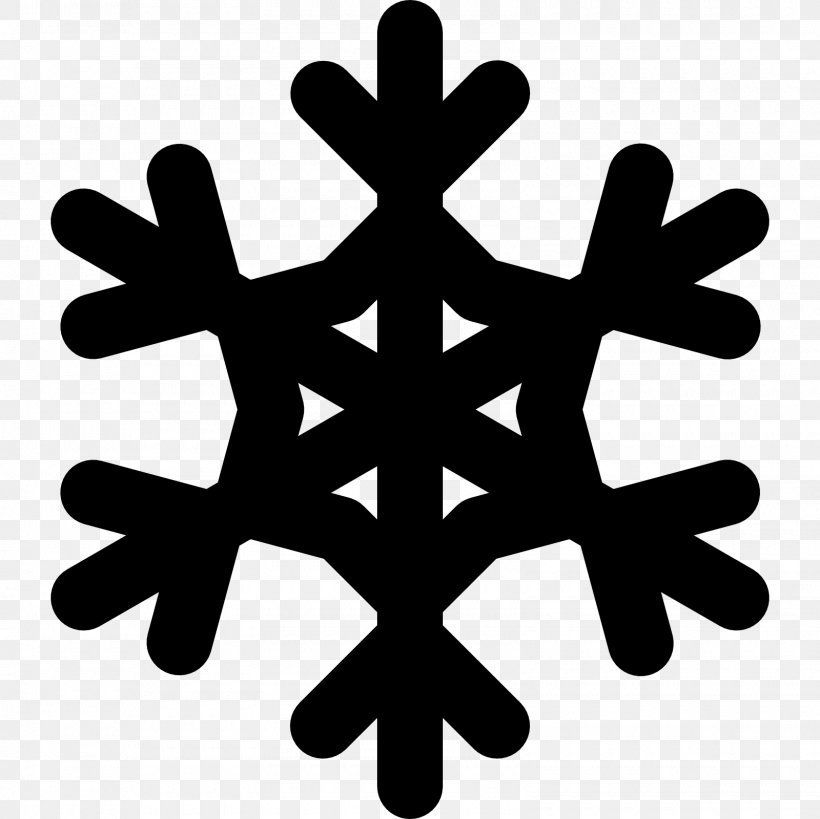 Icon Design Snowflake, PNG, 1600x1600px, Icon Design, Black And White, Flat Design, Leaf, Silhouette Download Free