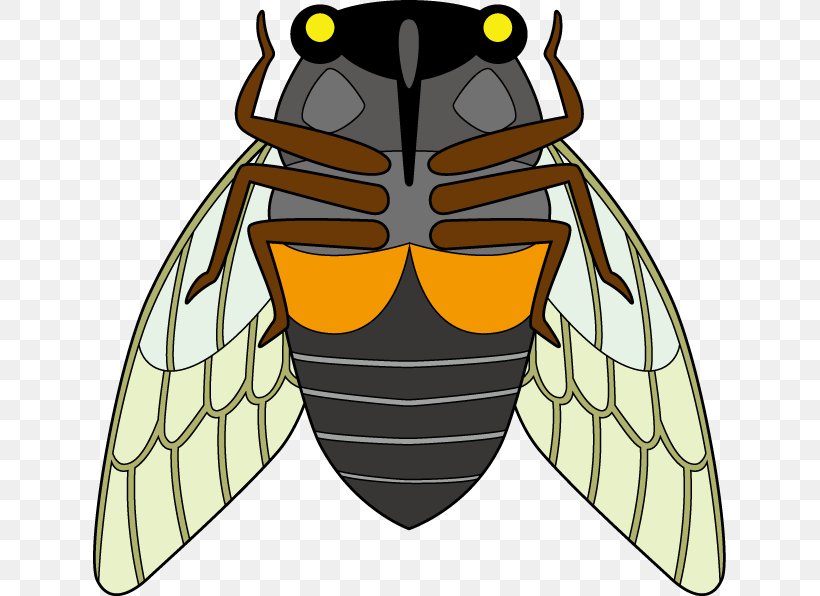 Honey Bee True Bugs Clip Art, PNG, 633x596px, Honey Bee, Beak, Bee, Character, Fiction Download Free