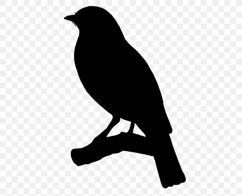 Songbird Silhouette Drawing, PNG, 455x666px, Bird, Beak, Black And White, Branch, Common Blackbird Download Free