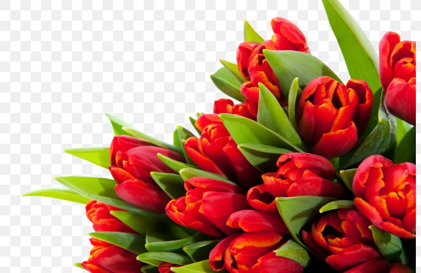 Tulip Floral Design Cut Flowers Flower Bouquet, PNG, 800x532px, Tulip, Cut Flowers, Floral Design, Floristry, Flower Download Free