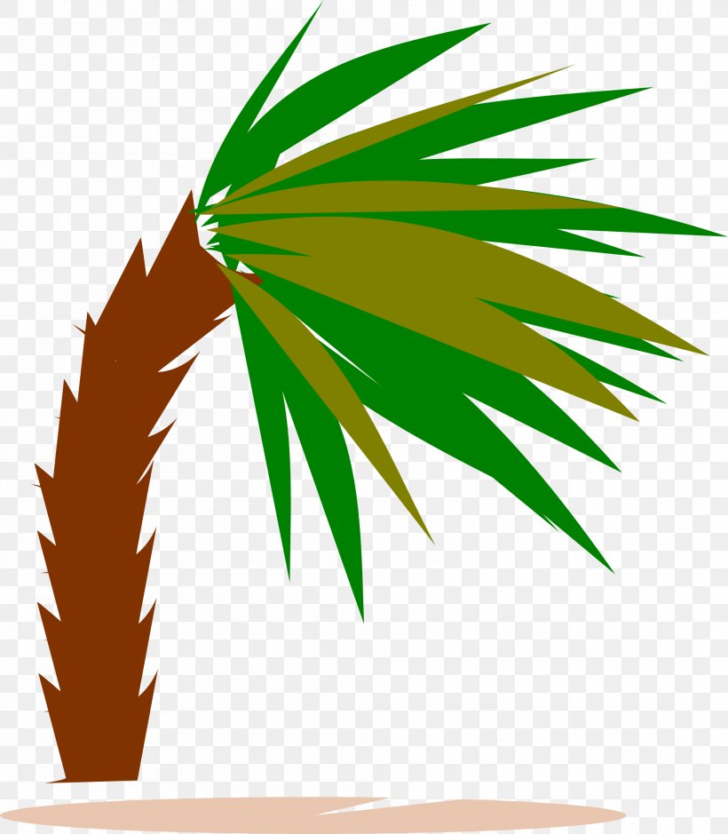 Arecaceae Tree Wind Clip Art, PNG, 2000x2292px, Arecaceae, Arecales, Coconut, Grass, Grass Family Download Free