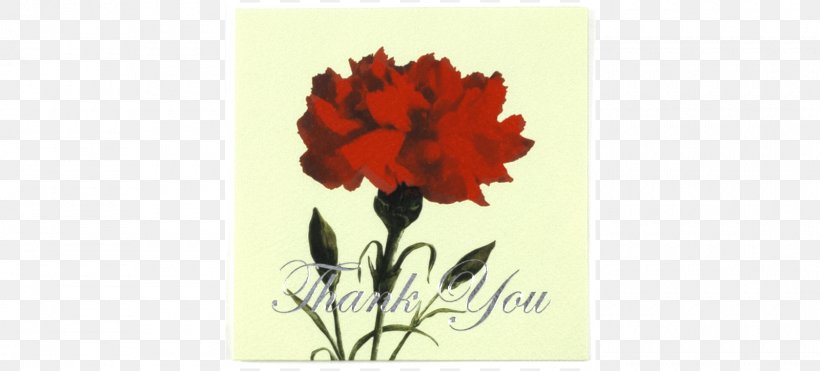 Cut Flowers Carnation Parents' Day Teachers' Day, PNG, 1600x724px, Cut Flowers, Auction Co, Carnation, Flora, Floral Design Download Free