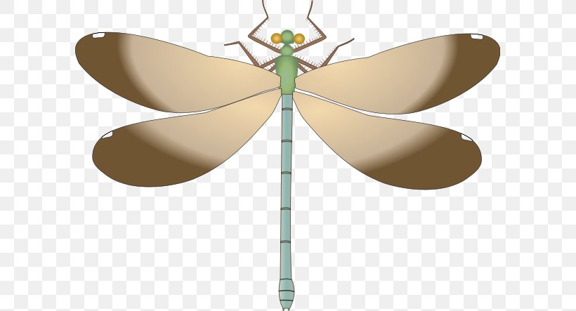 Dragonfly Drawing Clip Art, PNG, 605x443px, Dragonfly, Arthropod, Butterfly, Damselflies, Drawing Download Free