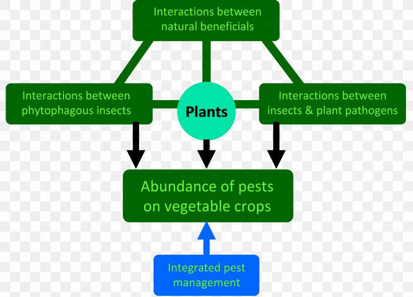 Abiotic Component Interaction Mathematics Technology, PNG, 3322x2391px, Biotic Component, Abiotic Component, Analysis, Area, Brand Download Free