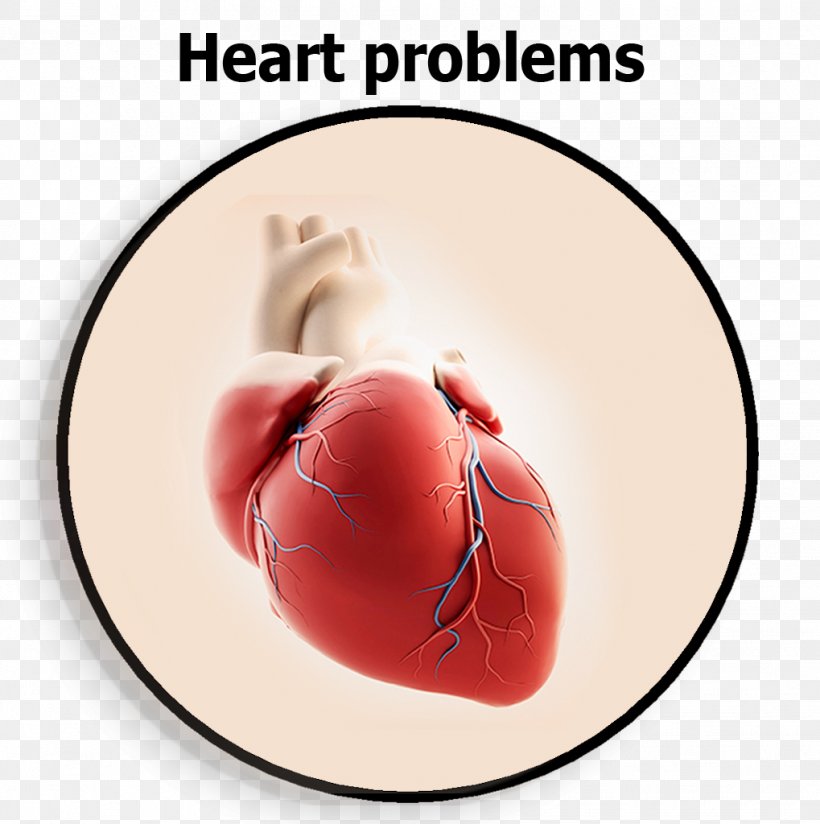 Cardiology Cardiac Surgery Heart Cardiovascular Disease Health, PNG, 1019x1024px, Watercolor, Cartoon, Flower, Frame, Heart Download Free